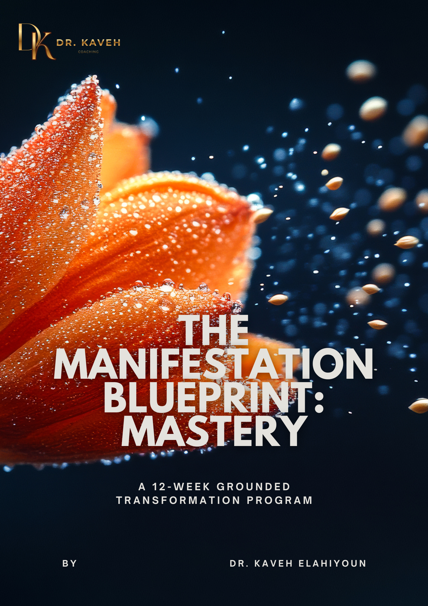 Manifestation Blueprint Mastery